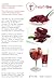Wild Hibiscus Heart-Tee Hibiscus Herbal Tea 20 Tea Bags 60g