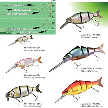 あゆみ  2155 L Izumi Lure AliveDiver Orange Berry Chart 105SD : Amazon.ca