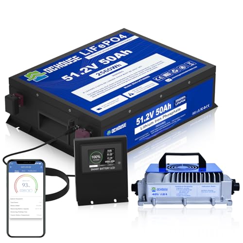 DC HOUSE 48V 50Ah Mini Golf Cart Battery with 18A Battery Charger, Bluetooth Mobile APP &Touch LCD Monitor, Low Temp Cut-Off, 2C-100A BMS, Peak Current 200A for Ryobi Mowers, Golf Carts