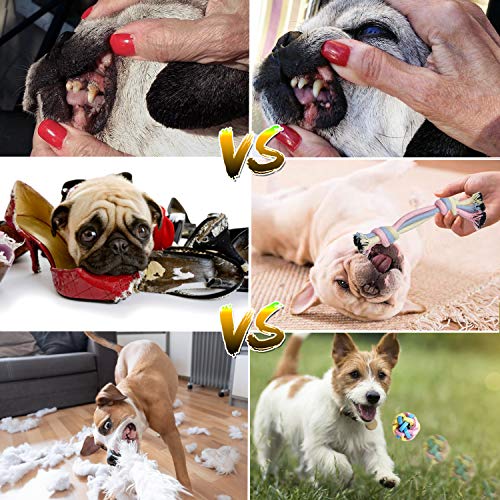 Benseao Puppy Teething Chew Toys Dog Rope Toy For Small Dog Interactive Puppy Toys Dog Balls Puppy Teething Ring Dog Toys Storage Basket (A) #TOP3