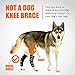 NeoAlly® - Rear Leg Hock Brace, Dog Leg Brace for Rear Leg, Hock & Ankle Support for Large Dogs, Dog Brace for Torn Acl and Ccl, Long Version, Medium, 1 Pair