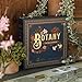 Botany Board Game | Family Board Game | Victorian Flower Hunting for Plant Lovers | Ages 8 and Up | for 1-5 Players | Easy to Learn - by Dux Somnium Games