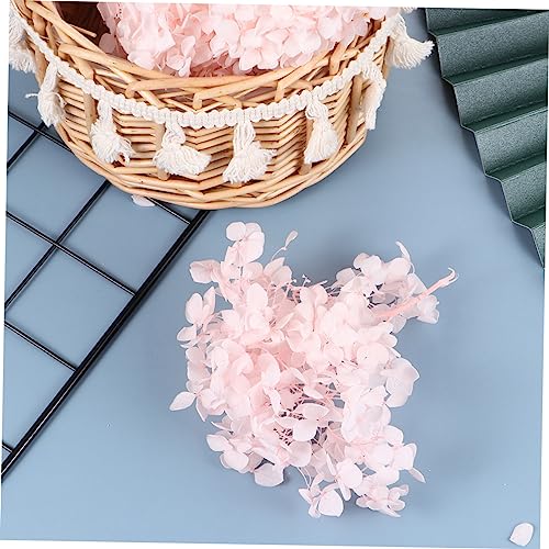 Pétalos de flor secos para decoración y arte de uñas miniatura 5