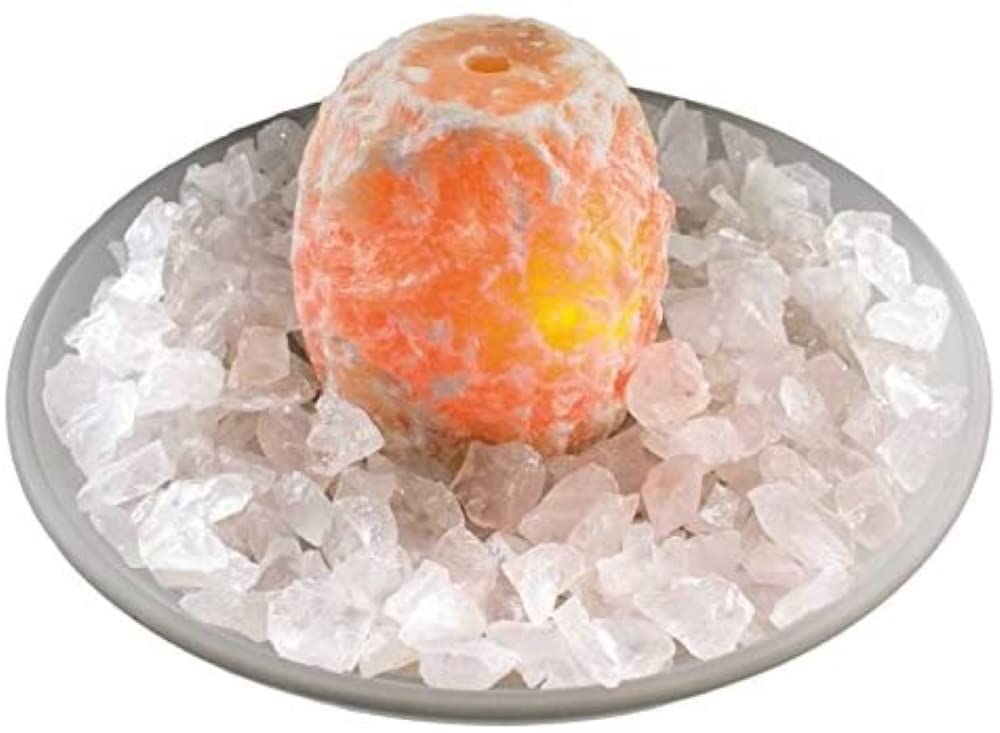 Budawi® Glasschale Brunnenschale Rosé rund Ø 35 cm für Nebler und Zimmerbrunnen