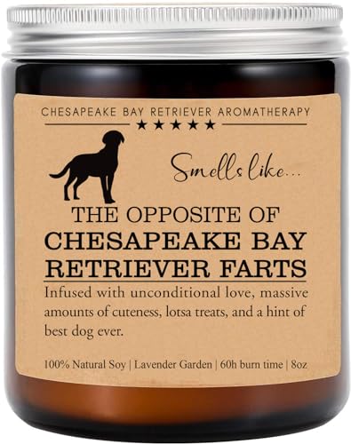 Chesapeake Bay Retriever Candle, Chesapeake Bay Retriever Funny D...