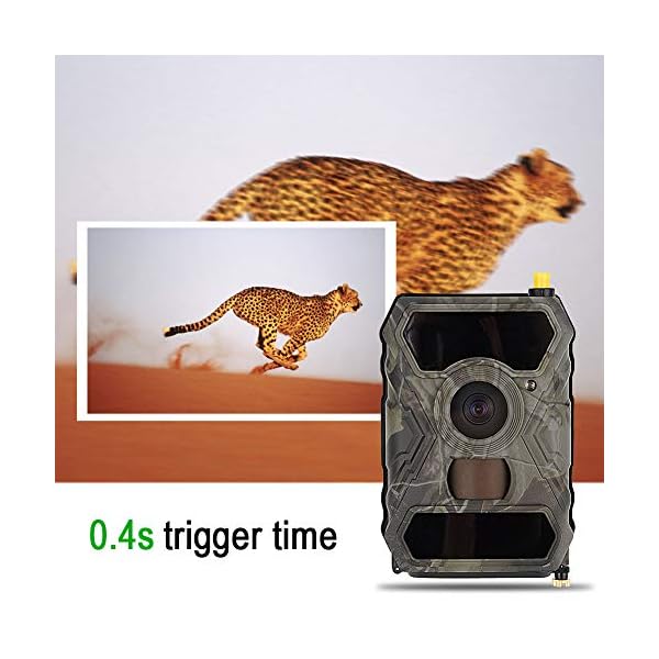 EVTSCAN Wildkamera 1080P Outdoor Wildlife wasserdichte Infrarot Nachtsicht Jagd Video Trail Kamera – Bild 3