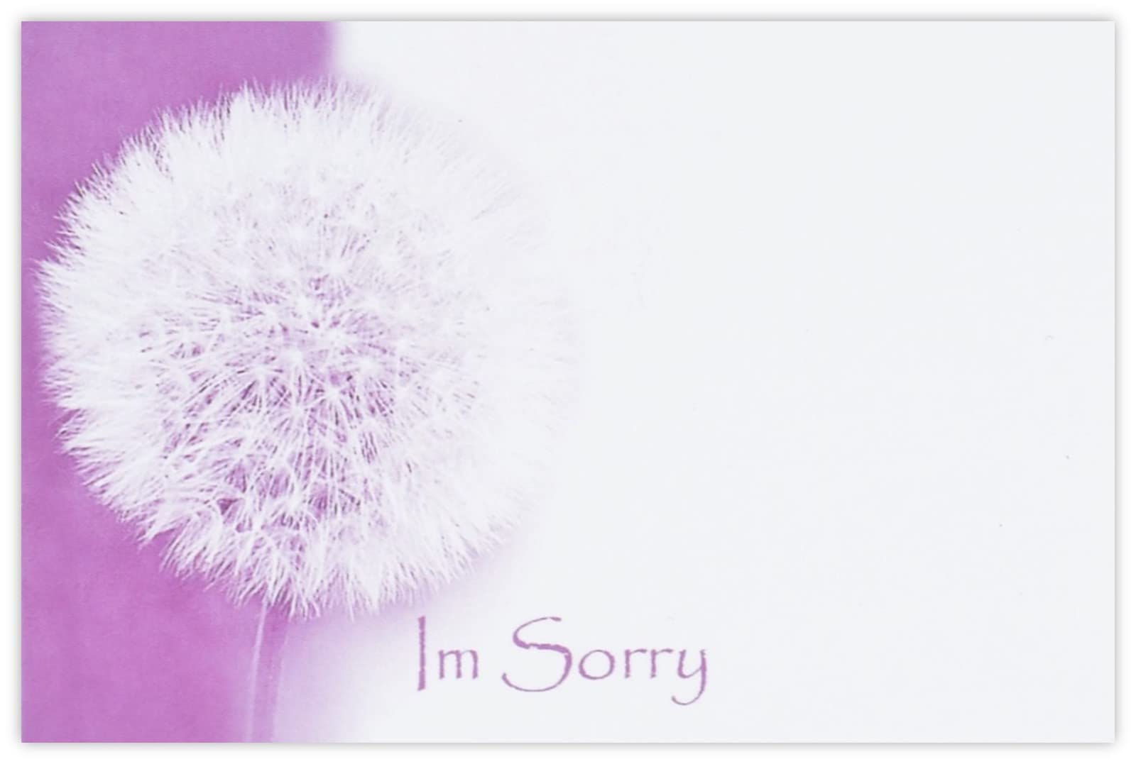 celloexpress I'm Sorry (Dandelion) Flower Message Cards - 60mm x 90mm - Everyday Occasions Florist Card Gift Notes (Pack of 100) — image 1