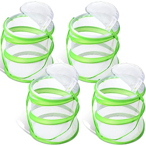 4 Pack Butterfly Habitat Cage Mesh Butterfly Cage Mini Butterfly Net Habitat Clear Butterfly Container, Terrarium Pop Up (5.51 x 7.09 Inch)