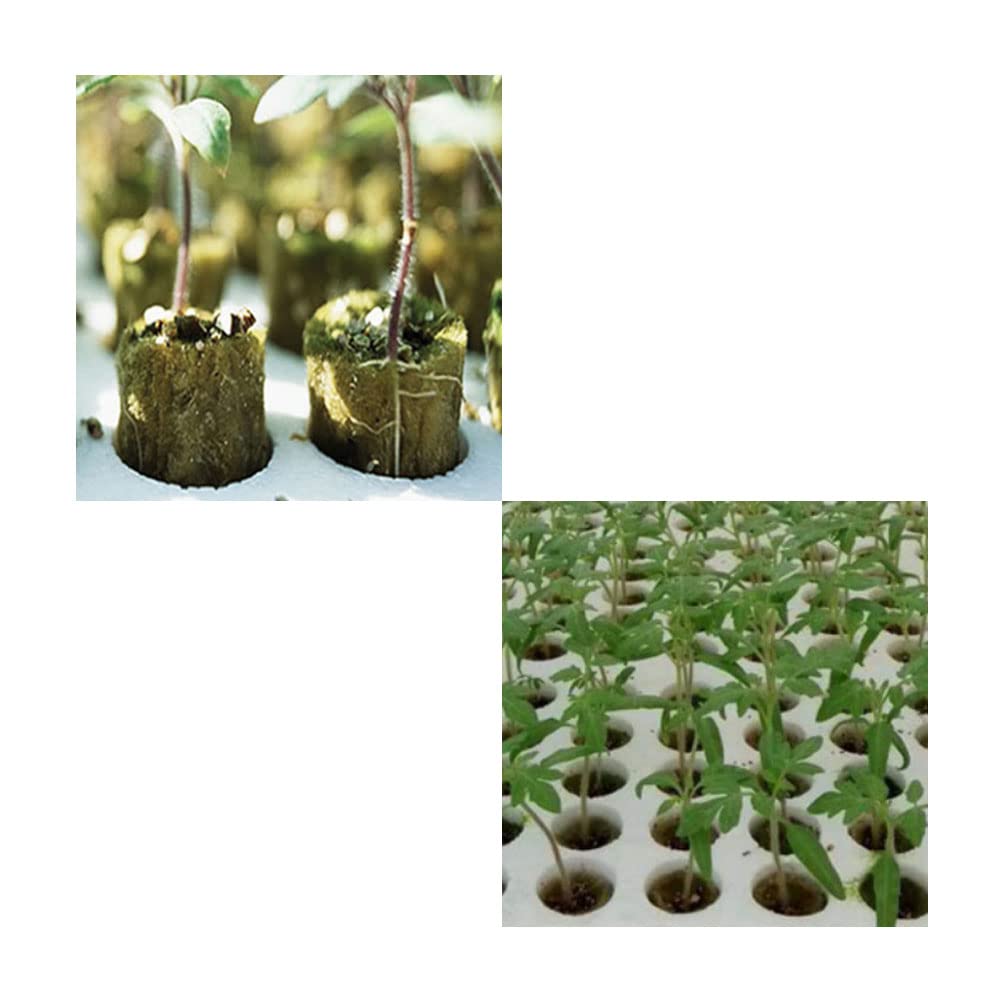 Cubo de Lana de Roca sin Suelo 50 Piezas Cubos de Cultivo Hidropónicos Bloque de Lana de Roca Plántulas HidropóNicas Tapones Agrícola Rockwool Cilíndrico Cubos de Lana de Roca Propagación