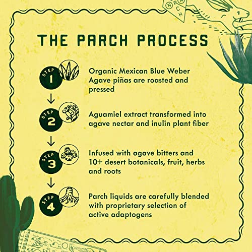 Image of PARCH Spiced Pinarita Ready to Drink Non Alcoholic Agave Cocktail Infused with Desert Botanicals & Adaptogens, Plant Based, Gluten Free & Vegan, Inspired by the Sonoran Desert (8.4 oz x 8 Pack)