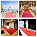 Red Carpet Runner Rug for Party and Event, Non-Slip TPR Rubber Backed Aisle Runway red Rug for Step, Proposal & Wedding Christmas Thanksgiving Decorations, Runway Rug for Prom(3 x 10ft, 450 GSM)
