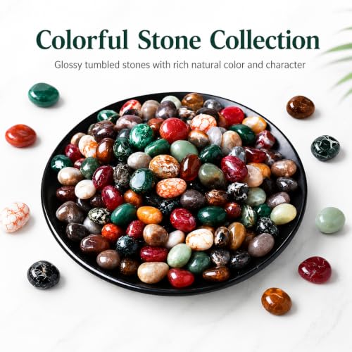 Image of Polished Ocean Jasper Crystal Chips 200 Pcs - 0.3 inch 10 oz Tumbled Stone Chips Quartz Crushed Sea Glass Stones Healing Reiki Crystal Making Home Decoration,0.3 inch inches