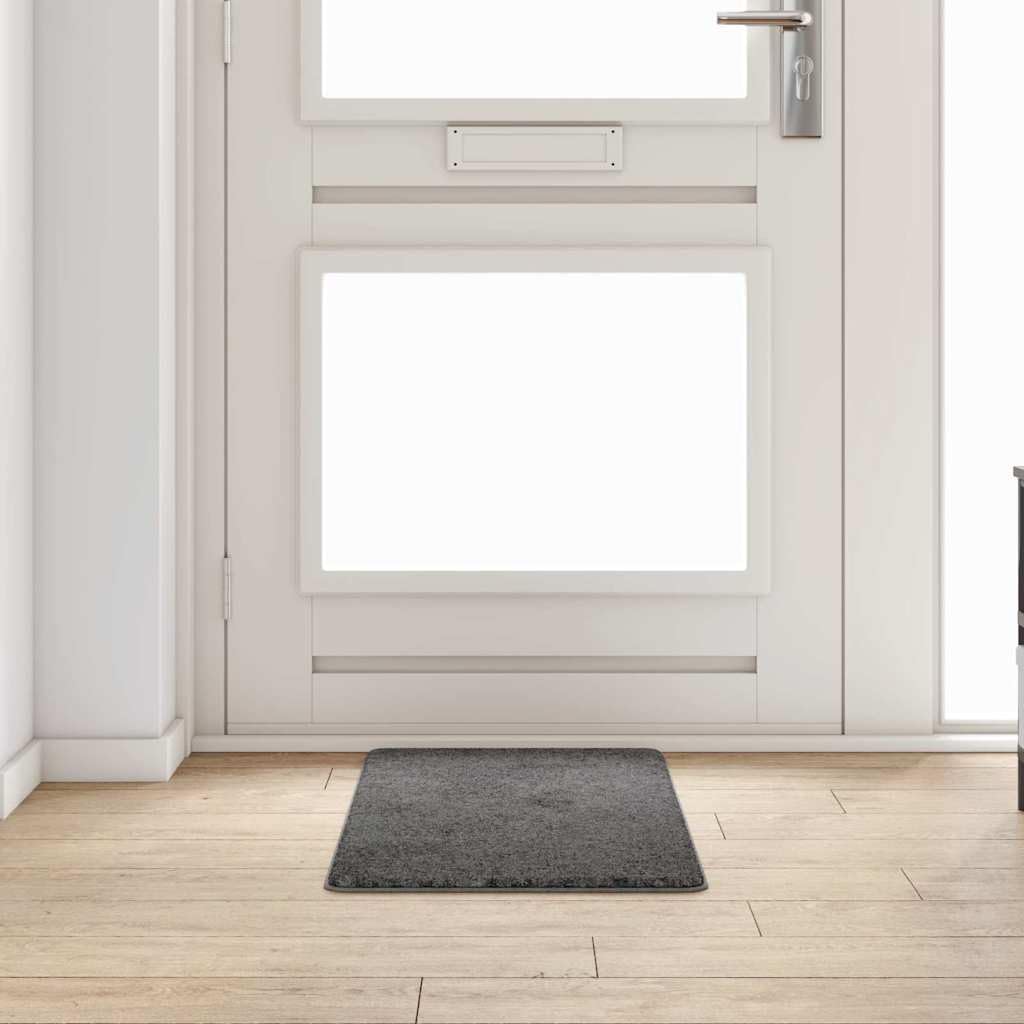Alfombra de pasillo gris, 50 x 100 cm, 100% polipropileno, antideslizante, fácil de limpiar, para pasillo, salón, dormitorio, con superficie suave y decoración moderna y versátil