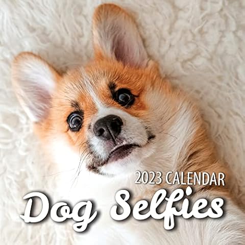 Our World Dog Selfies Wall Calendar 2023 - Family Planner & Daily Organiser with Monthly Dogs Calendar Image - Dog Lover Gift, Christmas Stocking Filler & Slim Design 2023 Wall Planner Cover