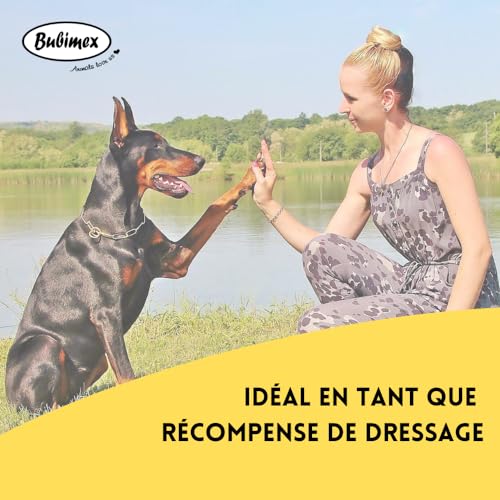 Bubimex - Smiley Cookies Leckerli für Hunde – Kekse Belohnung ideal zum Training – niedriger Fettgehalt – Snack Training – geeignet für alle Rassen und Größen – Eimer mit 1,3 kg