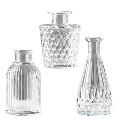 KINOKINO t[x[X KX ֑} ԕr   (3Zbg)