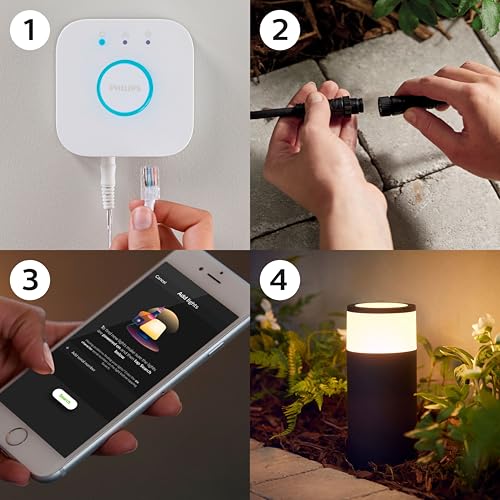 Philips Hue White&Color Ambiance, Extension Borne Calla, 8W, Noir