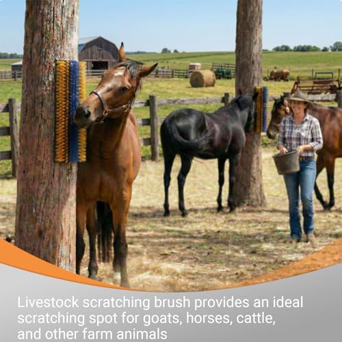 TERPUP 2 Pack Livestock Scratching Brush, Large Horse Grooming Brush Kit With Stainless Steel Curry Comb for Full Massage, Heavy Duty Animal Scratcher for Goat, Cow, Donkey, Horses, Barn or Pasture