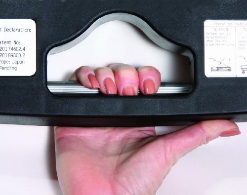 Magna Cart Flatform Caminhão com plataforma dobrável para quatro rodas com capacidade de 136 kg