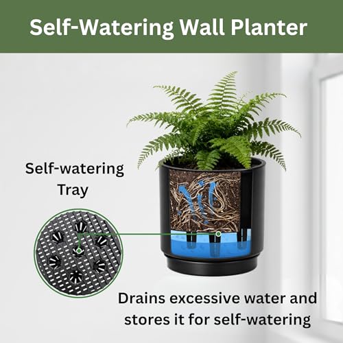 Pots de fleurs muraux à arrosage automatique suspendus intérieurs