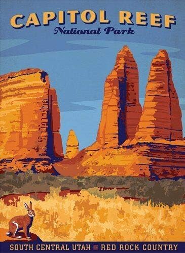 Digi Magnets Adhesivo magnético de vinilo con imán magnético de 3 x 4 pulgadas, diseño de arrecife del Capitolio