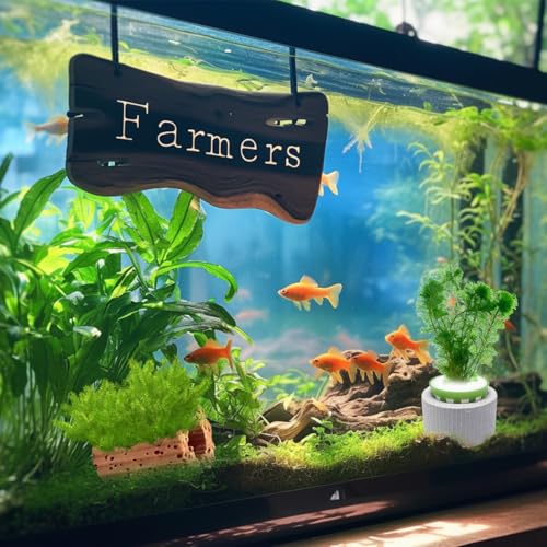 Image of 12 PCS New Upgrade Aquarium Plant Weight,Aquarium Plant Holder Aquatic Plants Ceramic Fixing Ring Anti-Floating Ceramic Aquariums Plants Ring Aquariums Landscape Decorative Accessories