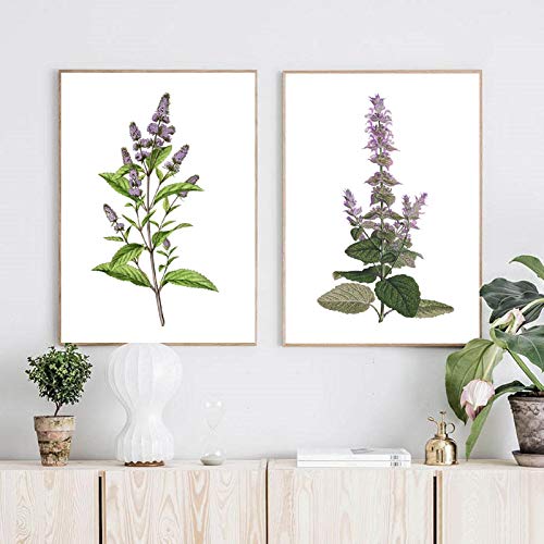 Plante sauge photos mur art pour décorer un salon style bohème chic nature