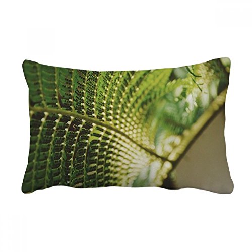 Coussin de nature photo de feuilles pour la décoration de canapé