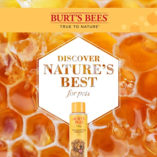 Burt's Bees for Dogs Natural Skin Soothing Shampoo with Honey | Dog Shampoo for All Dogs and Puppies | Safe for Dogs… - Image 6