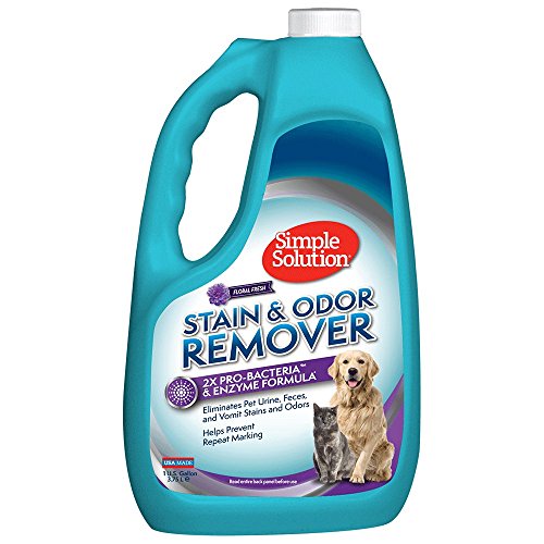 Simple Solution Enzymatic Pet Stain Remover