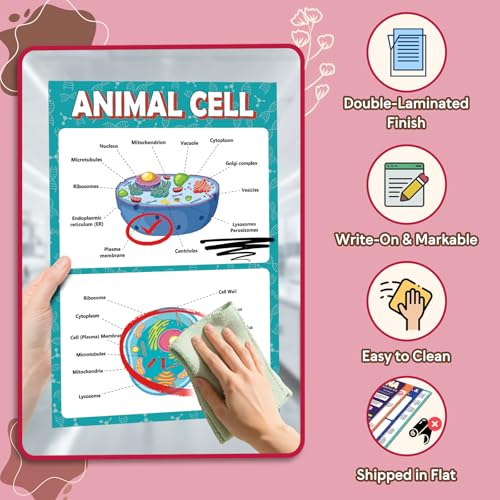 Image of KIDS KING 18 Learning Posters - Biology (11 inchx17 inch)