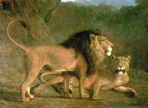 Tableaux Graffiti Art Mural d'animaux 60x90cm par Jacques Laurent Agasse