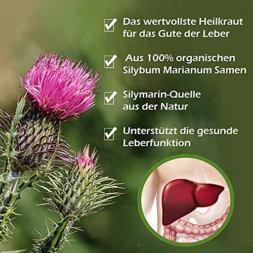 Foto von Mariendistelpulver Bio 1kg, die effektivste Heilpflanze für die Leber, 100% reine Silymarin-Quelle, Mariendistelsamen gemahlen von BotaniKils