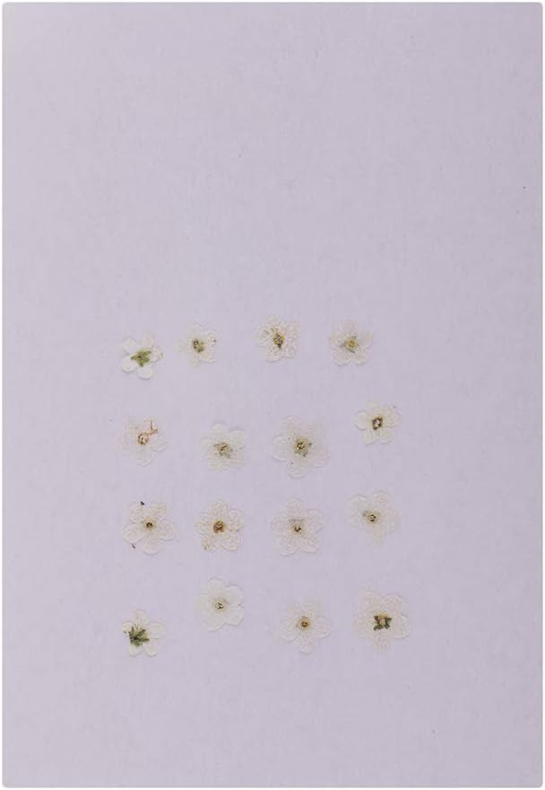 fiore secco per candela