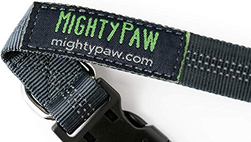Mighty Paw Hands Free Dog Leash | Premium Runners Pet Lead And Adjustable Hip Belt. Lightweight Reflective Bungee System For Training, Walking, Jogging, Hiking And Running. (Grey, 36 Inch) #TOP7