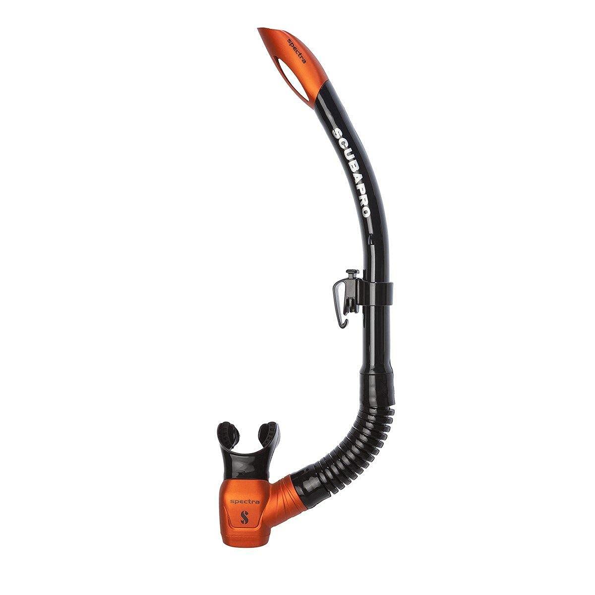 Attache Spectra – snorkeling