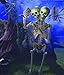 Fun Express Two-Headed Life-Size Human Skeleton 5 Feet Tall Posable Halloween Decorations Outdoor & Indoor Scary Halloween Decor for Yard Porch & Party Premium Plastic Construction with Hanging String