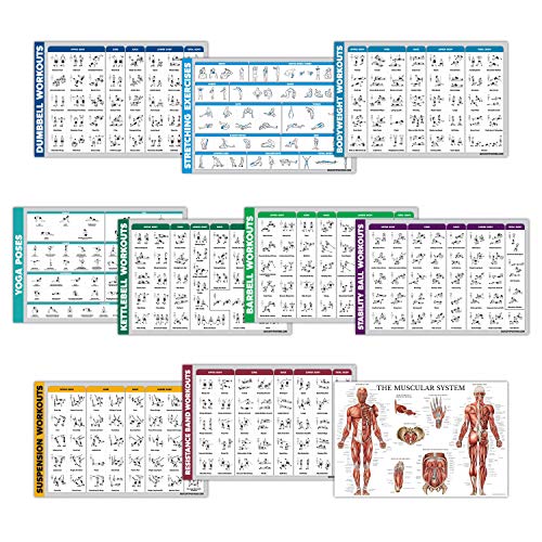 10 Pack - Exercise Workout Poster Set - Dumbbell, Suspension, Kettlebell, Resistance Bands, Stretching, Bodyweight, Barbell, Yoga Poses, Exercise Ball, Muscular System Chart (LAMINATED, 18