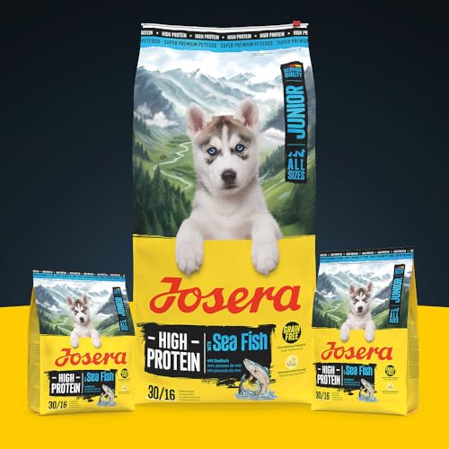 JOSERA Junior High Protein Seefisch (1 x 12,5 kg) | Premium Trockenfutter aktive Hunde ab der 6. Lebenswoche| Lachs & Süßkartoffel | getreidefrei & proteinreich | L-Carnitin & Taurin | 1er Pack