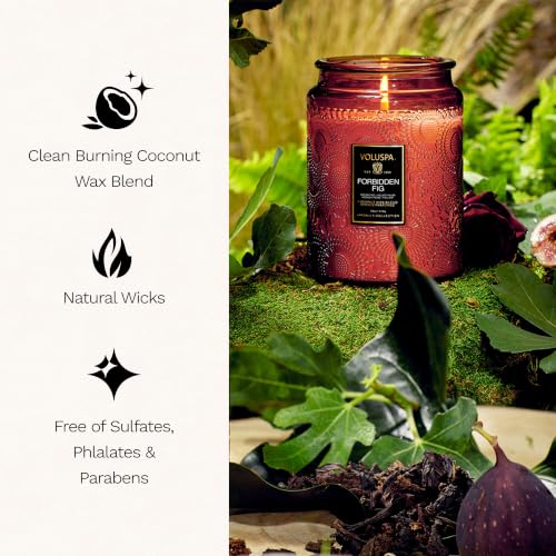 Image of Voluspa Forbidden Fig Large Scented Candle Jar 18 Oz, 100 Hr Burn | Coconut Wax Blend in Decorative Glass, Clean Even Burn, USA Handcrafted Gift for Hosts, Fragrance Lovers & Relaxed Rooms
