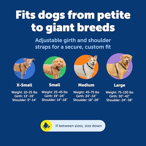 Image of PetSafe 3in1 Harness, Medium, Black,Dog