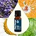 Plant Therapy Relax Essential Oil Blend 100% Pure, Undiluted, Natural Aromatherapy, Therapeutic Grade 10 mL (1/3 oz)