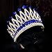 Tiaras and Crowns for Women,Wedding Tiara for Bride,Rhinestone Queen Crown,Crystal Costume Hair Accessories for Birthday Prom Crown with Combs（blue）