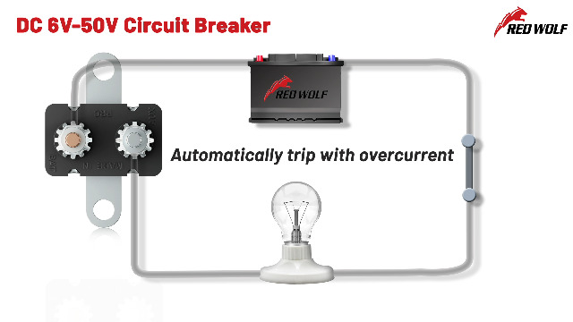 Amazon.com: RED WOLF (40A 4PCS) DC 6V-50V Automatic Reset Circuit