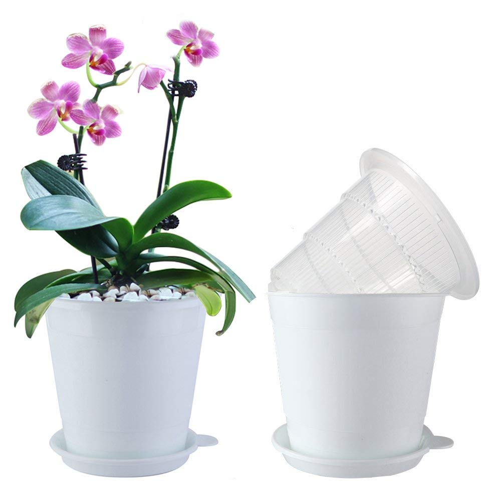 4 Inches Clear Plastic Orchid Planter with Holes - Succulent and Cactus Pot Set with 2 Inner, 2 Outer, and Saucer