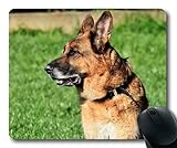 4.Es ist auch eine gute Idee, es als Geschenk zu senden Ihre Freunde;