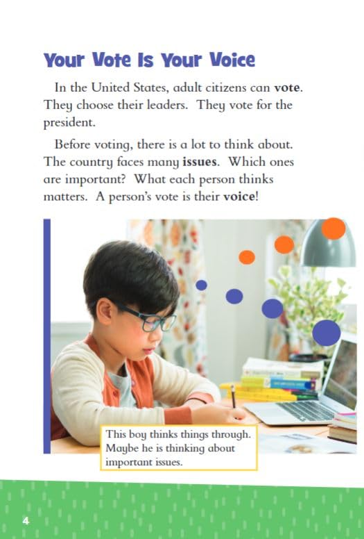 Your Vote, Your Voice (iCivics) - Image 4