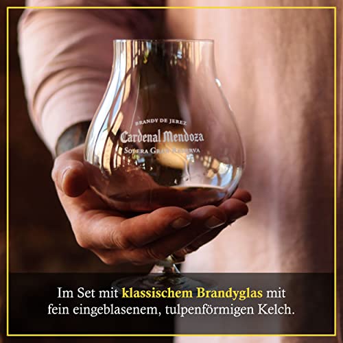 Cardenal Mendoza Clásico Solera Gran Reserva, Brandy de Jerez (1x0,7l) 40% vol - In edler Geschenkverpackung mit Brandyglas - 15 Jahre im Solera-System gereift, ausgewogener Geschmack, angenehm süß