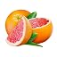 Citrus Grapefruit