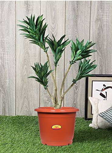 Image of Synergy Plast Plastic Round Shape Flower Pots 6 Pcs, 10 Inch Heavy Duty Plant Containers /Planter /Gamla /Plant Pot for Gardening, Balcony, Terrace, Home Decor Indoor & Outdoor Planting (Teracotta)